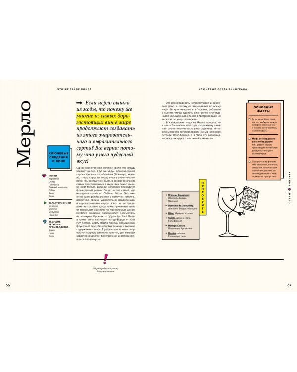 Вино просто. От звёздного сомелье, который поможет выбрать вино