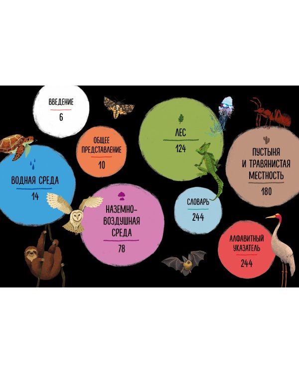 Мир вокруг тебя. Эти невероятные животные!