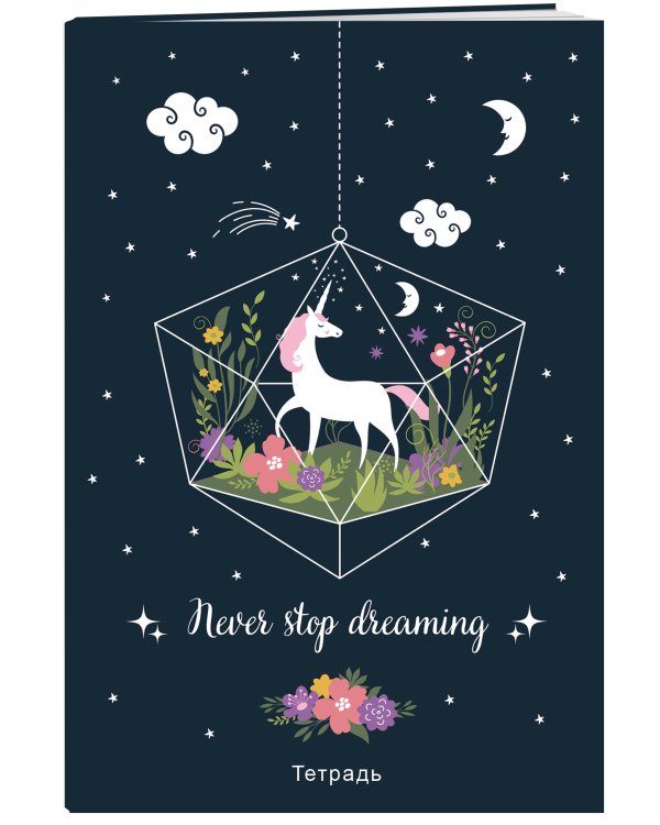 Тетрадь общая. Never stop dreaming!