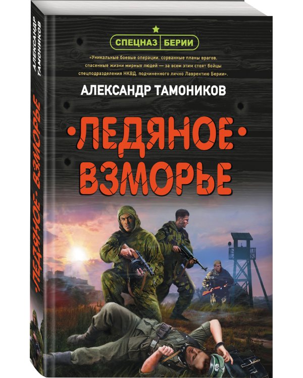 Ледяное взморье