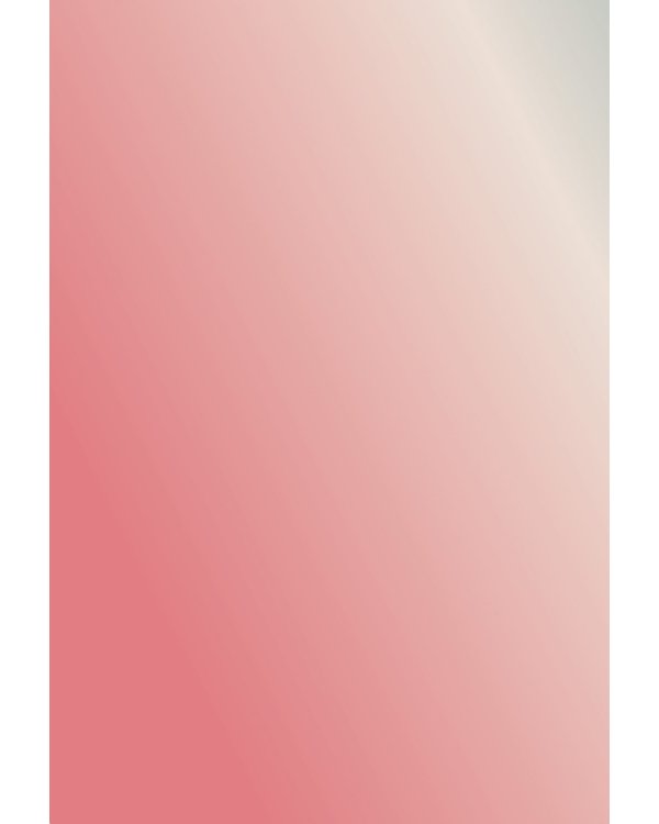 Радужный скетчбук (хамелеон)