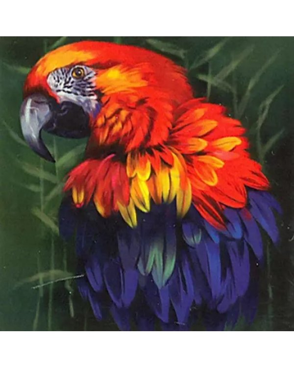 Алмазная мозаика "Попугай", 30x30 см