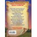 Дополнительное изображение книги «Носки врозь!»