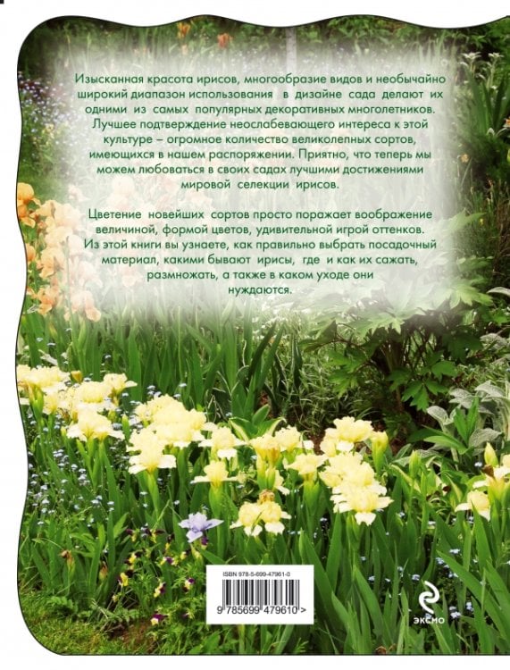 Ирисы. Все лучшие сорта к сезону