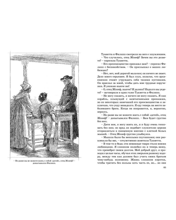 Дополнительное изображение книги «Приемыш черной Туанетты»