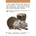 Музыка. 1 класс. Учебник. ФГОС (+ CD-ROM)