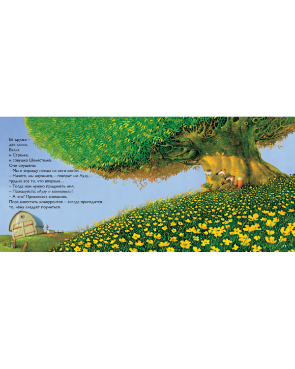 Дополнительное изображение книги «Лулу и большой концерт»