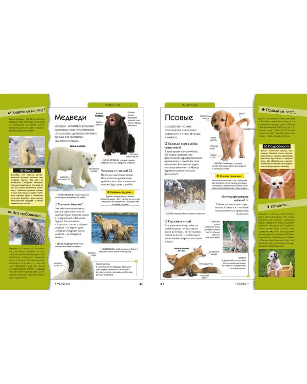 Моя первая книга вопросов и ответов