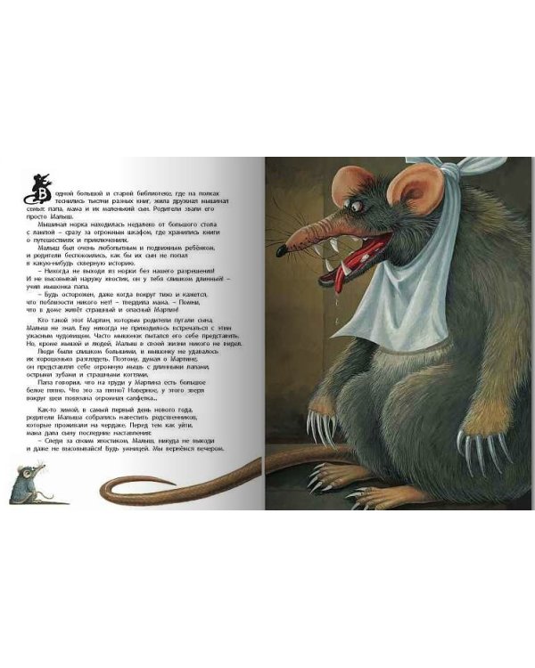 Мартин, Малыш и Говорящая Книга. История старой библиотеки