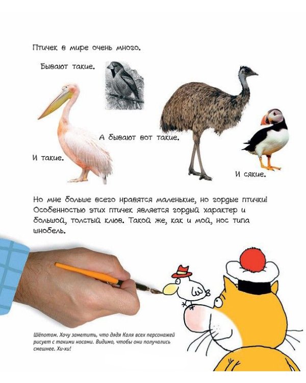 Кот Помпон и маленькие, но гордые птички