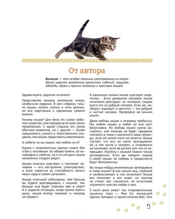Коты, котики, котята и котэ. Валяные игрушки своими руками