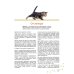 Коты, котики, котята и котэ. Валяные игрушки своими руками