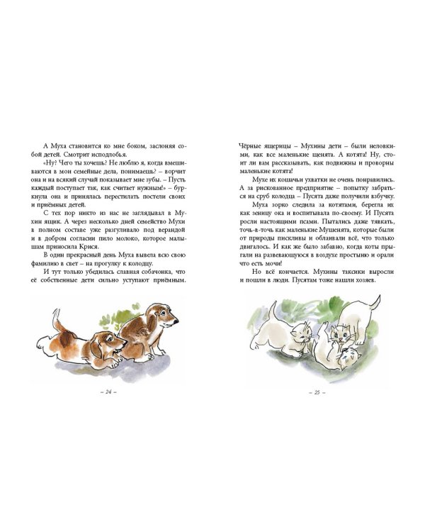 Дополнительное изображение книги «Муха с капризами»