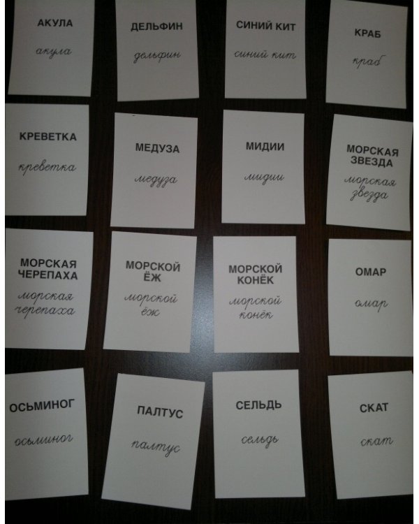 Раздаточные карточки "Мир морей" (16 штук)