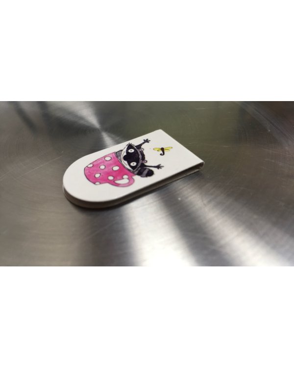 Магнитные закладки. Еноты - обормоты 6 закладок