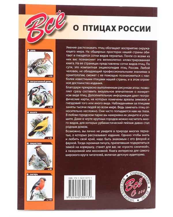 Все о птицах России