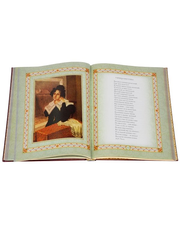 Золотой век русской поэзии (кожаный переплет, золотой обрез)