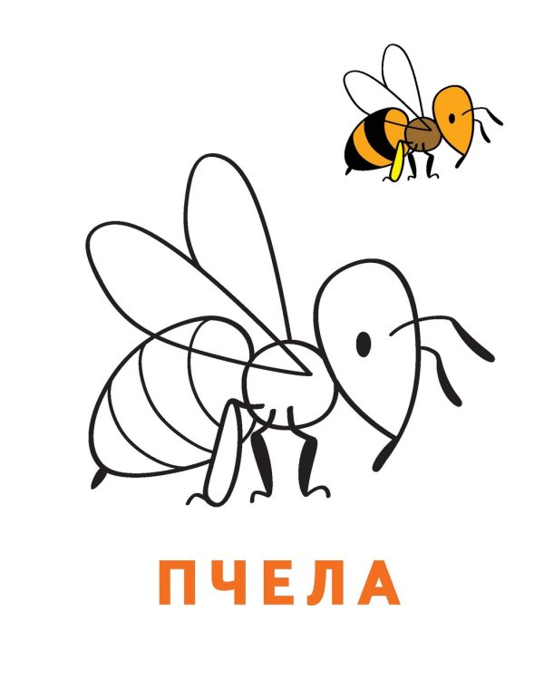 Раскраска-читалка. Букашки