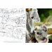 Дополнительное изображение книги «Самые красивые пушистые малыши»