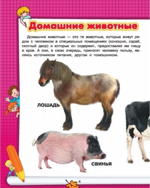 Животные