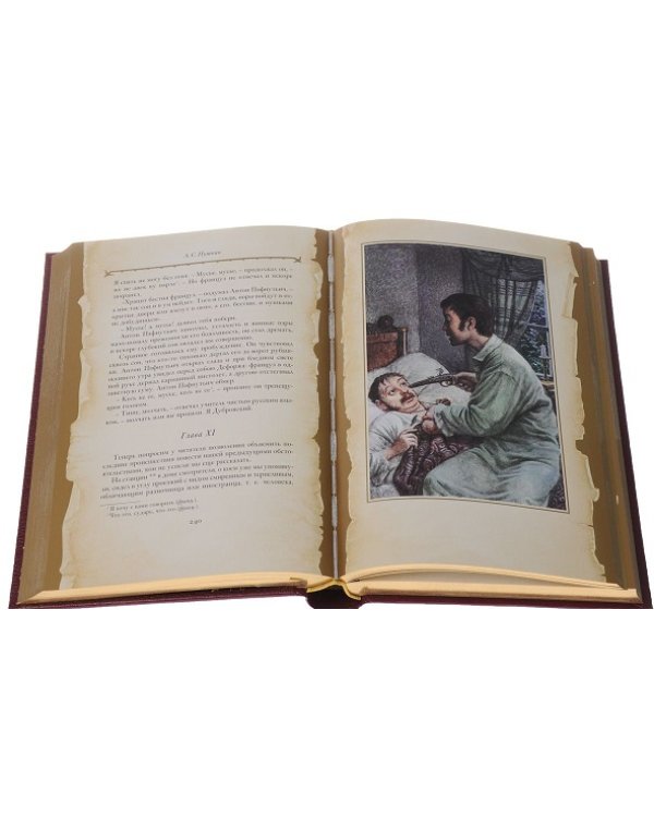 Капитанская дочка