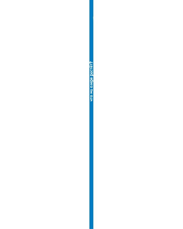 Что на озере растет?