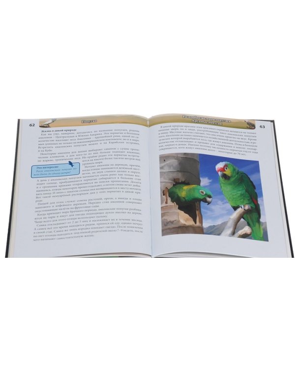 Энциклопедия. Попугаи