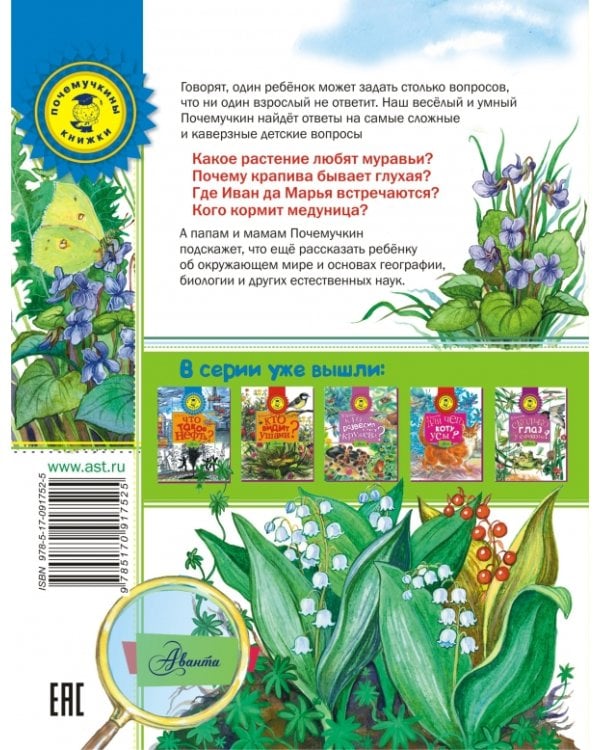 Что растёт на лесной поляне?