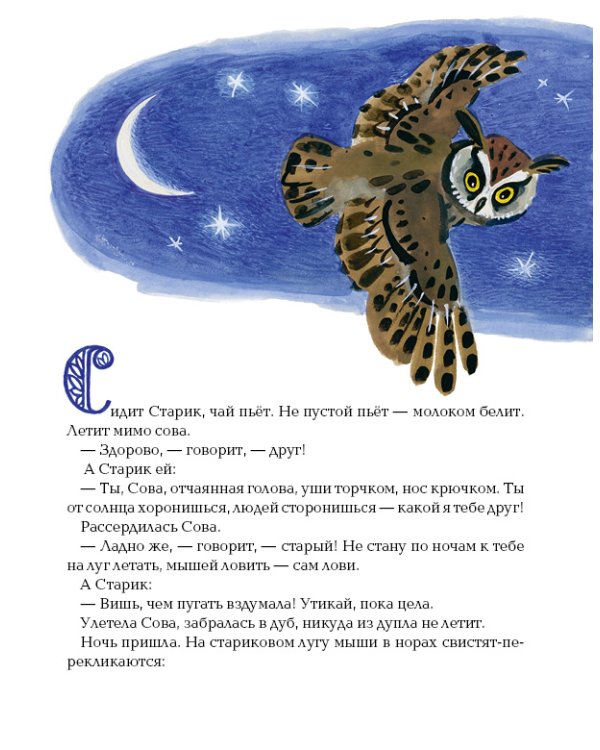 Дополнительное изображение книги «Сова»