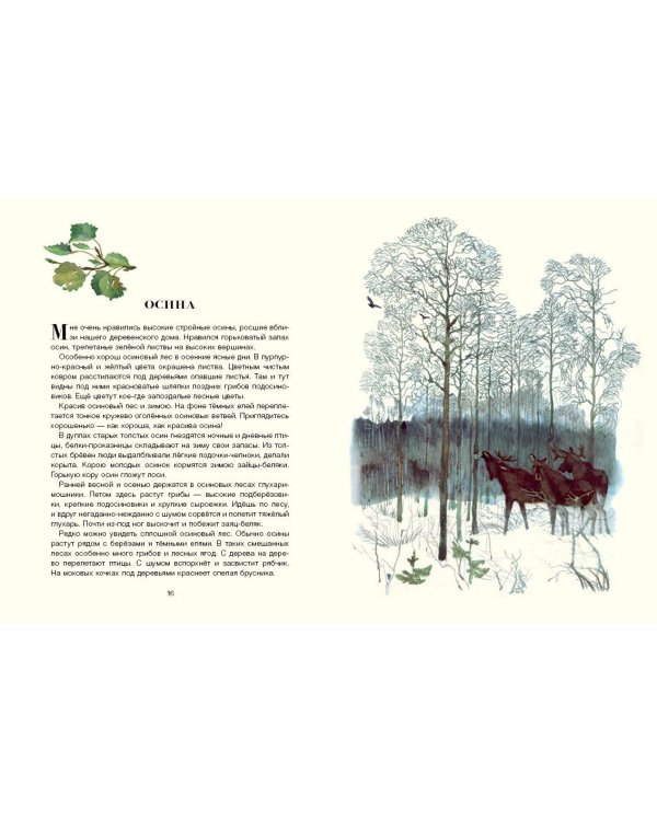 Русский лес