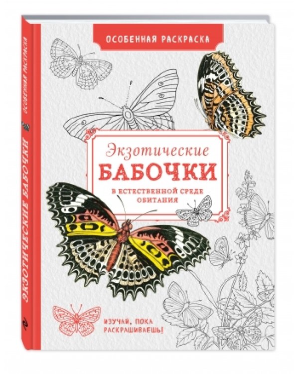 Особенная раскраска. Экзотические бабочки