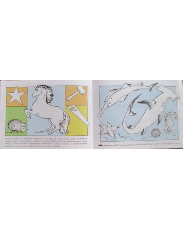 Кошка мяукает,поросенок хрюкает