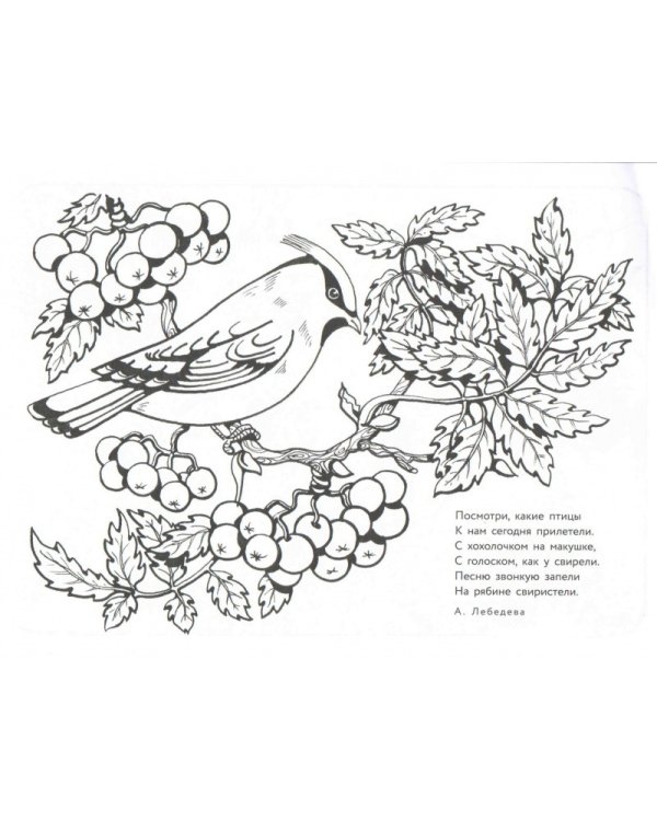 Альбом для раскрашивания. Калинка да малинка