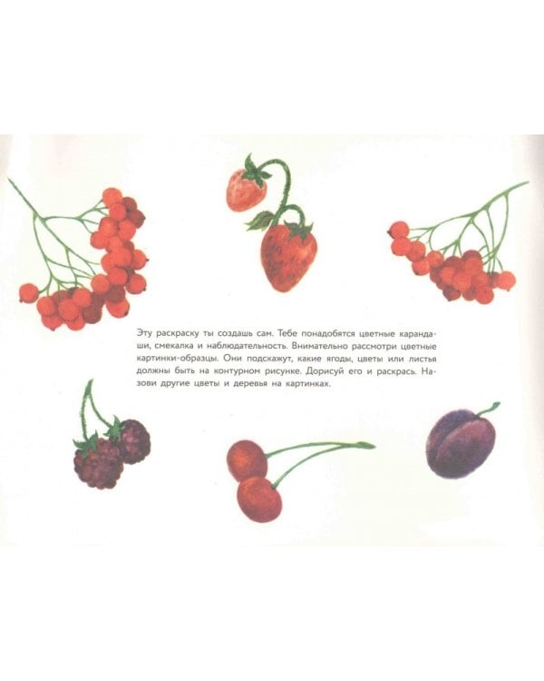 Альбом для раскрашивания. Угадай, нарисуй, раскрась