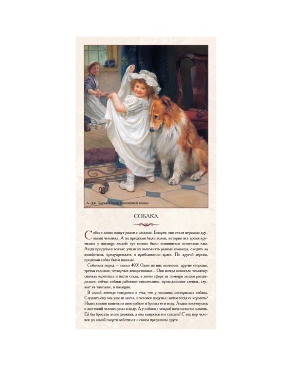 Дополнительное изображение книги «Животные нашей планеты. Домашние питомцы»