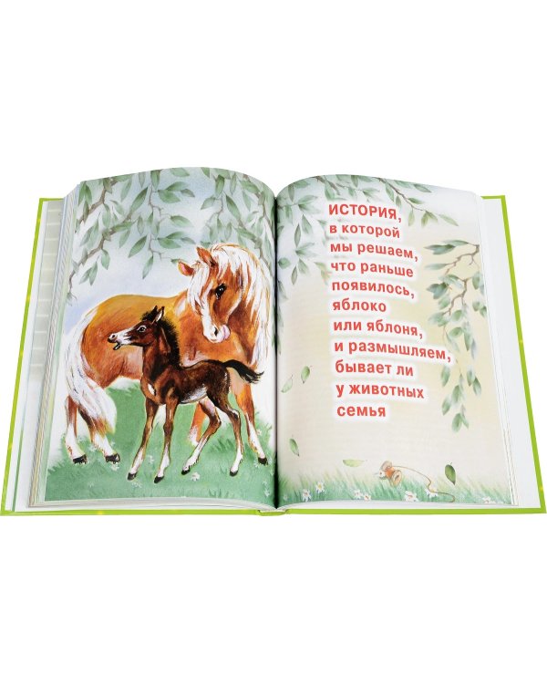 Книга-мечта о том самом зайке. Без капризов и обид. И о школе Монтессори для тех, кому от года