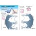 KUMON. 3D поделки из бумаги. Тираннозавр и апатозавр