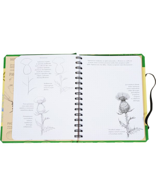 Sketchbook. Рисуем цветы. Визуальный экспресс-курс рисования