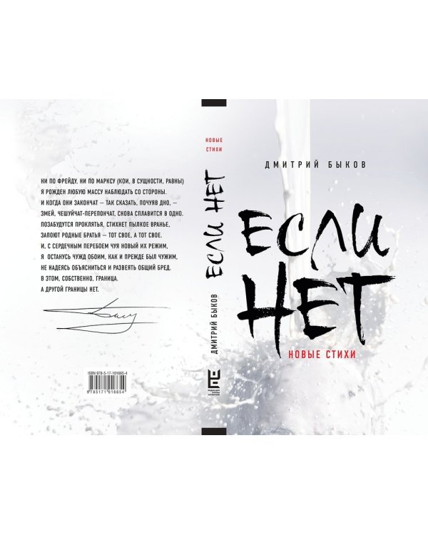 Дополнительное изображение книги «Если нет»