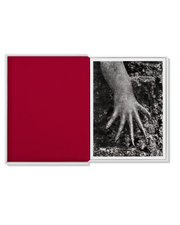 Salgado. Набор из 25 открыток