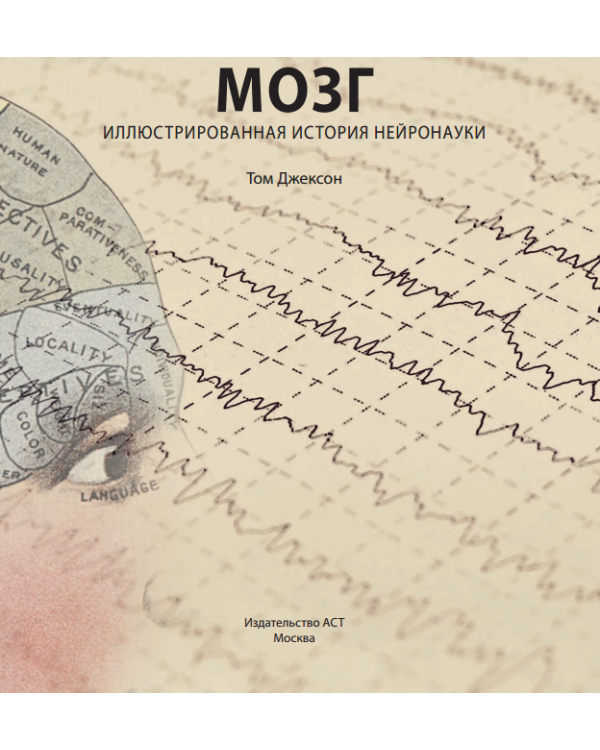 Дополнительное изображение книги «Мозг»