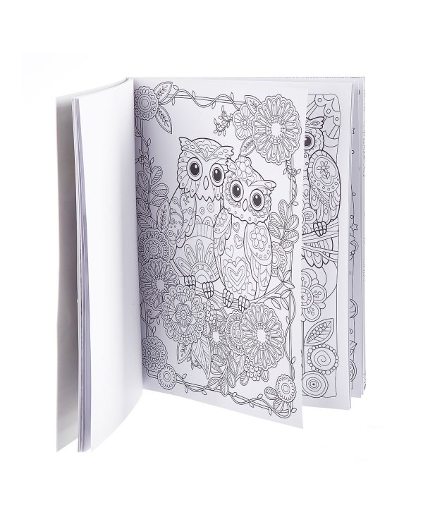 Набор раскрасок антистресс. Мистические совы, 24 дизайна