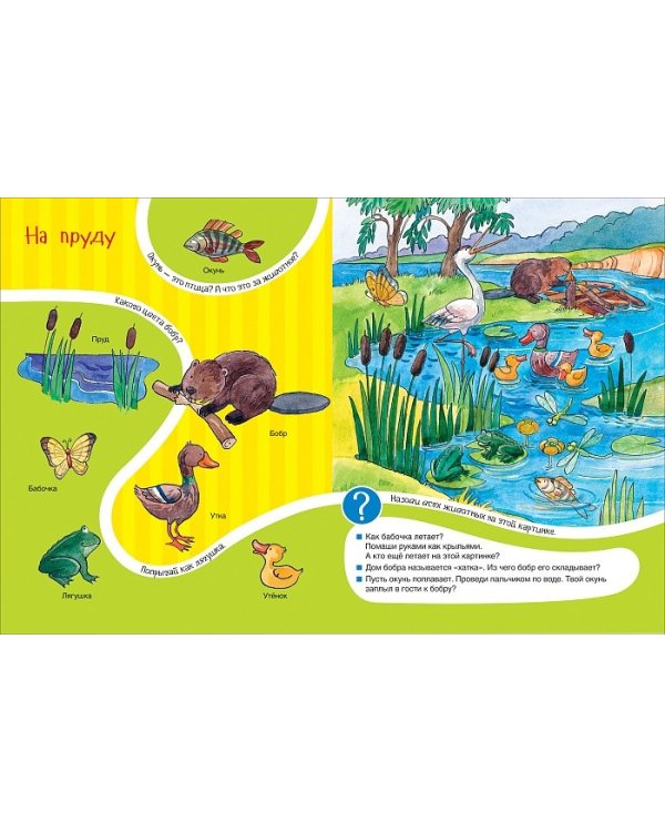 Дикие животные