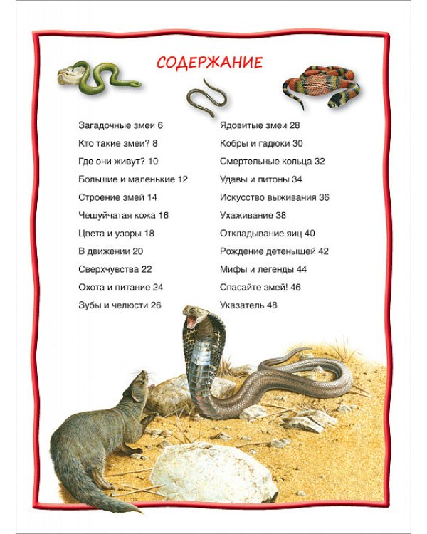 Змеи. 100 фактов
