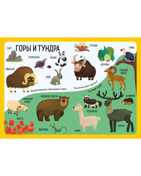 Дополнительное изображение книги «Животные со всего света»