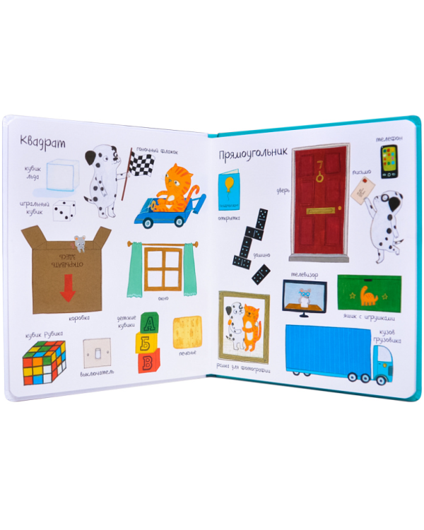 Книга форм