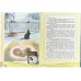 Рассказы о Ромке и его бабушке