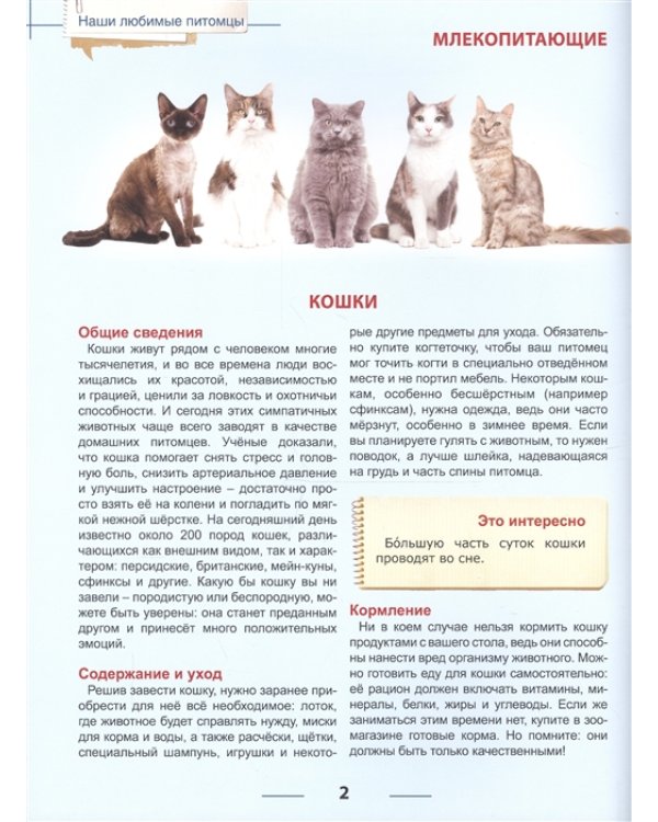 Наши любимые питомцы