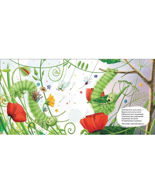 Секрет бабочки