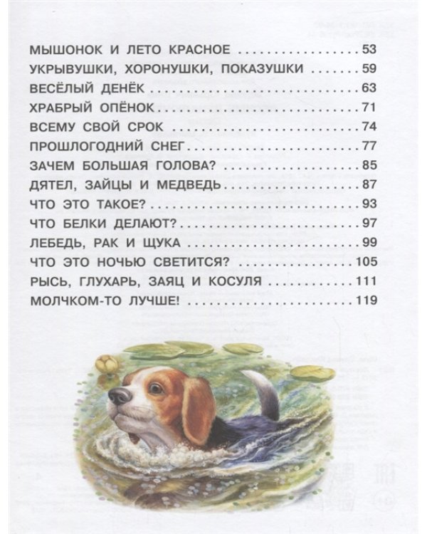 Лесные приключения